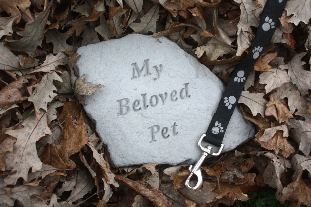 Pet Memorial Stone Surrounded by Fall Leaves